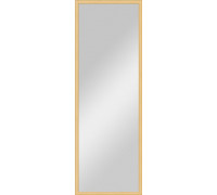Зеркало Evoform Definite BY 0704 48x138 см сосна