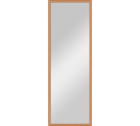 Зеркало Evoform Definite BY 0705 48x138 см вишня