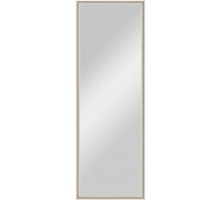 Зеркало Evoform Definite BY 0708 48x138 см витое серебро