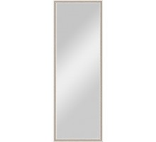 Зеркало Evoform Definite BY 0708 48x138 см витое серебро